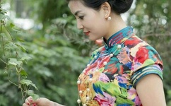 换个方式做吧未增删动画樱花